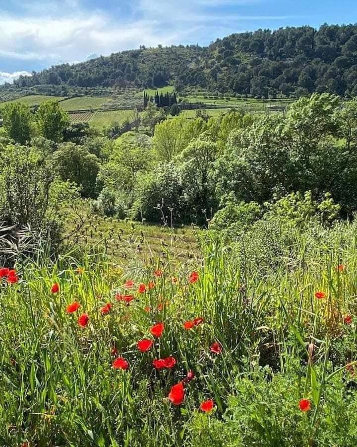 Chambre D'Hote Au Jardin Le Clos Des Vins D'Anges Saint-Pierre-des-Champs Kültér fotó