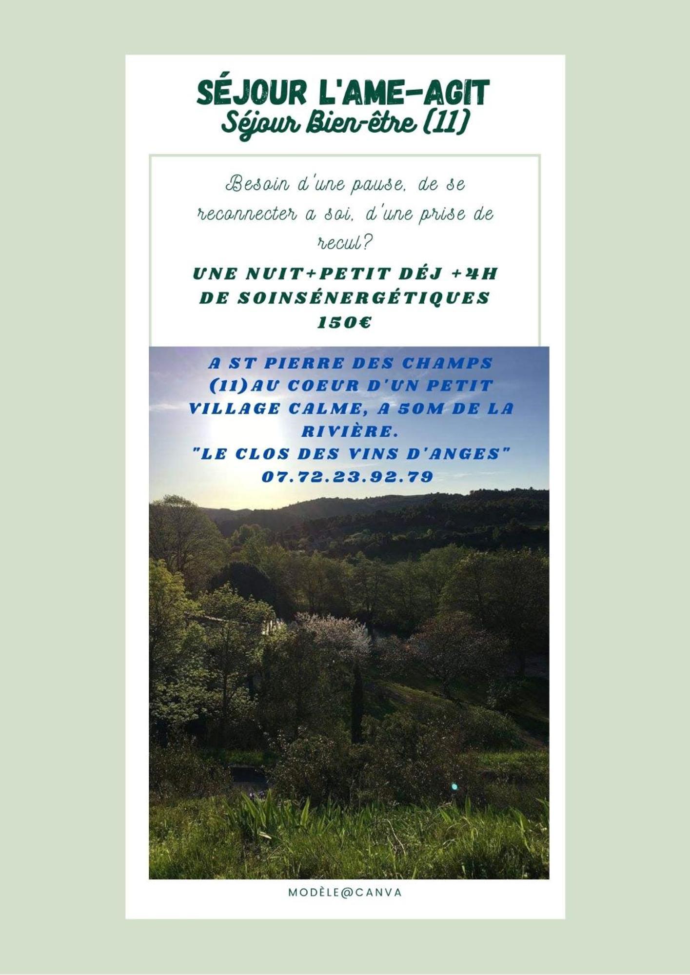 Chambre D'Hote Au Jardin Le Clos Des Vins D'Anges Saint-Pierre-des-Champs Kültér fotó