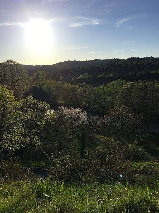 Chambre D'Hote Au Jardin Le Clos Des Vins D'Anges Saint-Pierre-des-Champs Kültér fotó
