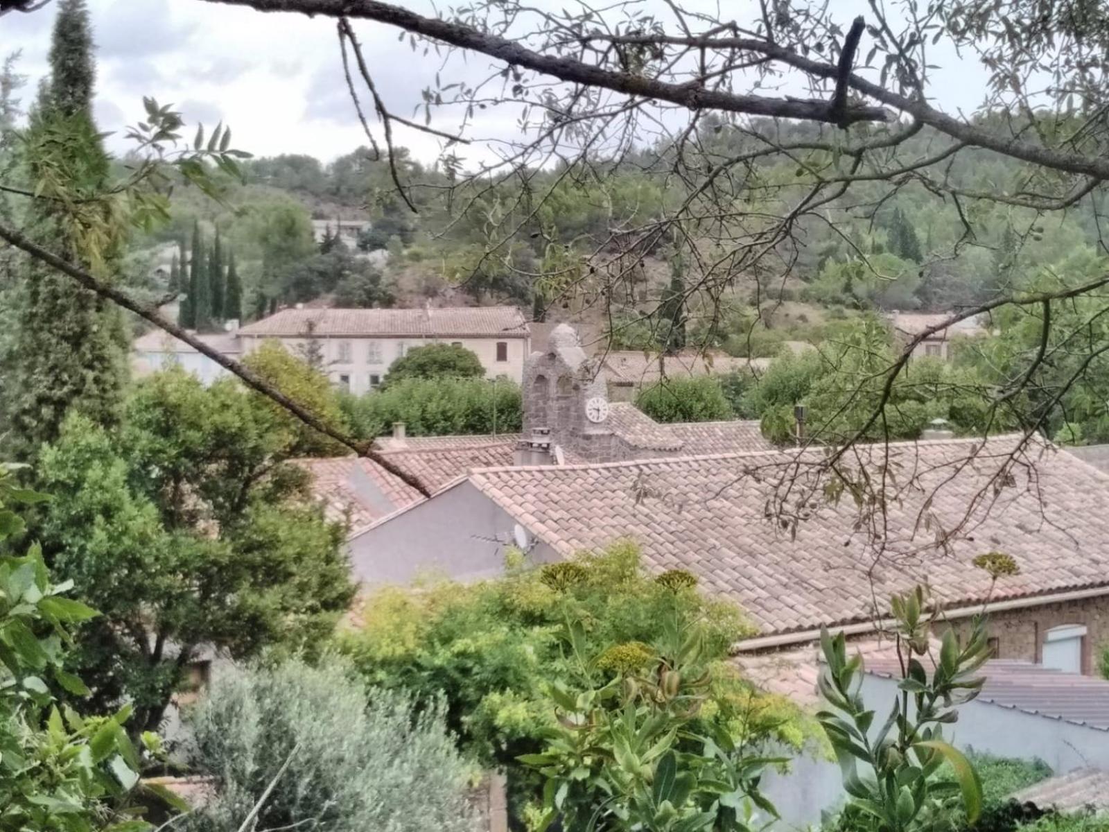 Chambre D'Hote Au Jardin Le Clos Des Vins D'Anges Saint-Pierre-des-Champs Szoba fotó